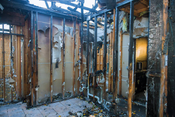 Professional Odor Removal technician working in McKinney, TX