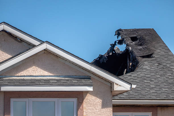 Top rated local Odor Removal specialists in McKinney, TX